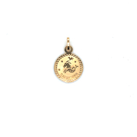14k Yellow Gold Circle Capricorn Zodiac Pendant Charm 0.3 Grams