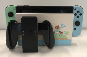 Nintendo Switch Animal Crossing Edition Video Game System
